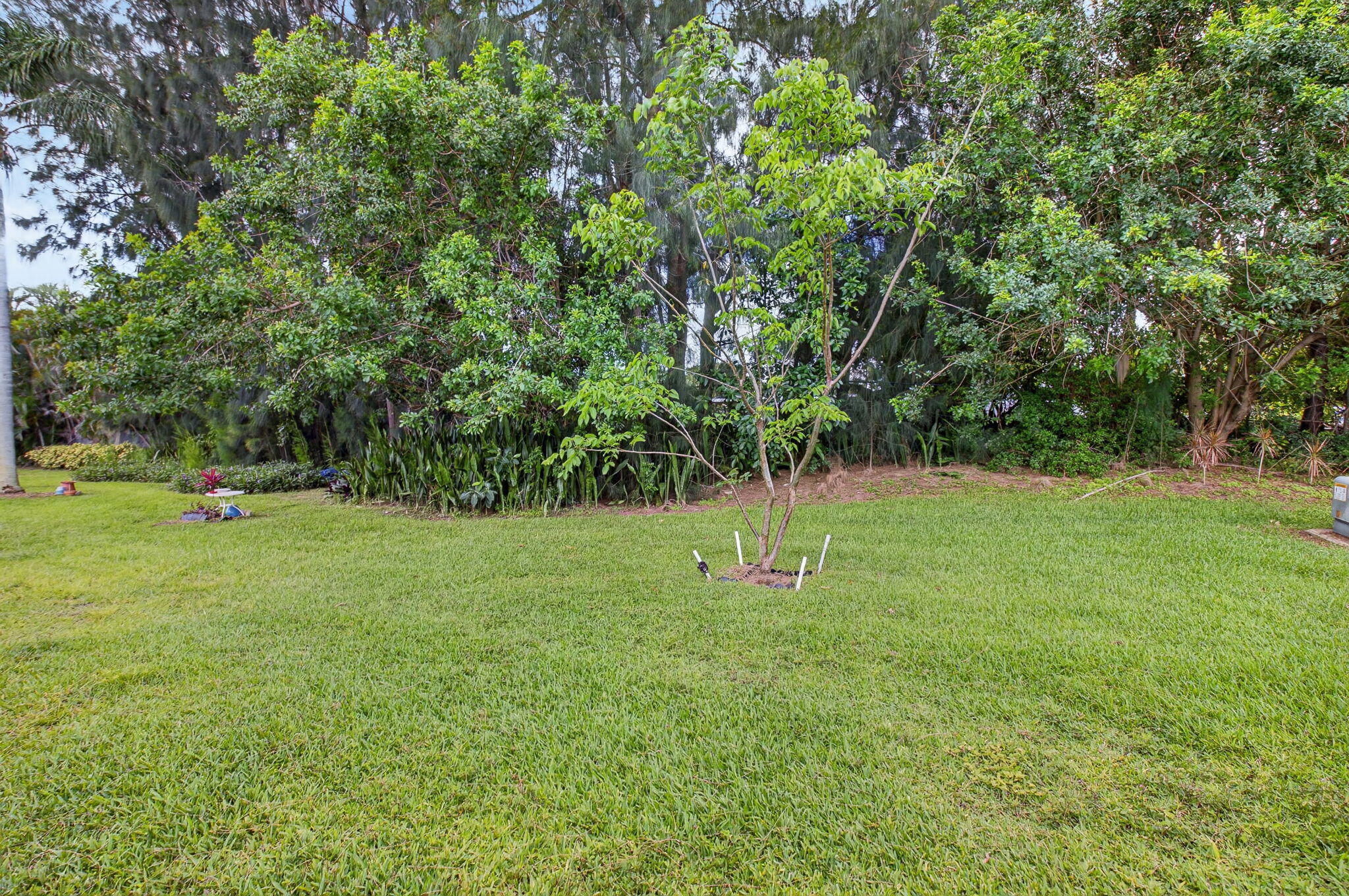 172 West High Point Terrace, Unit D Delray Beach, FL 33445 - Photo 25 of 25 26-web-or-mls-DSC_1468