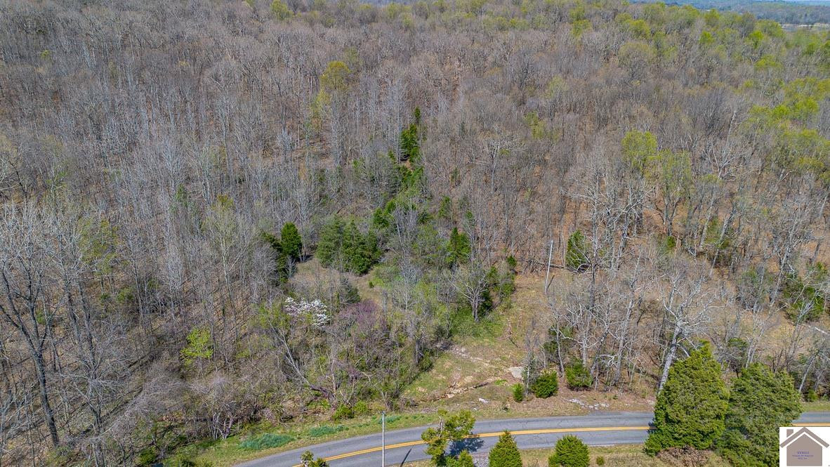 0 Hampton Road Salem, KY 42078 - Photo 3 of 5 Photo 3