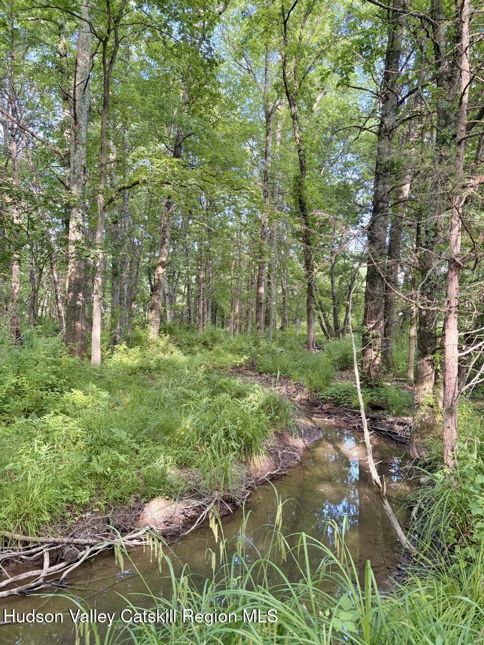 239 Springtown Road New Paltz, NY 12561 - Photo 16 of 42 Stream