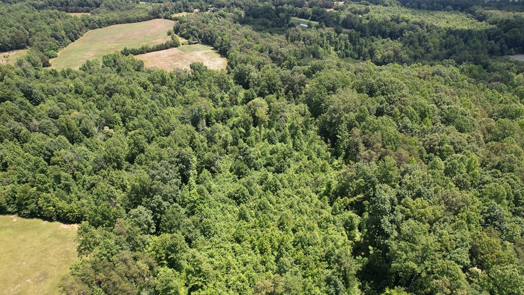 0 Mitchell Road, Unit 2 Pamplin, VA 23958 - Photo 1 of 14 Gallery Image 1