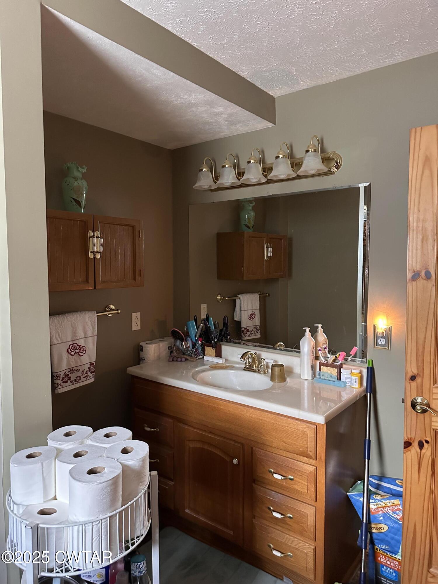 446 Miracle Road Decaturville, TN 38329 - Photo 19 of 22 a bathroom with a sink double vanity and a mirror