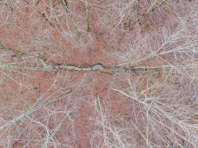 a view of swimming pool