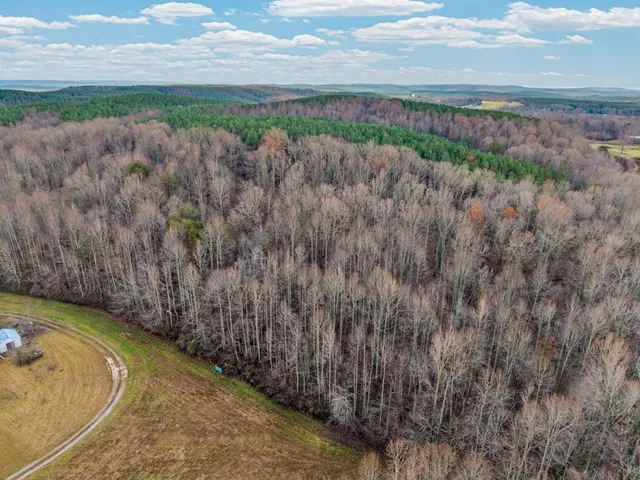 a view of a yard with an outdoor space