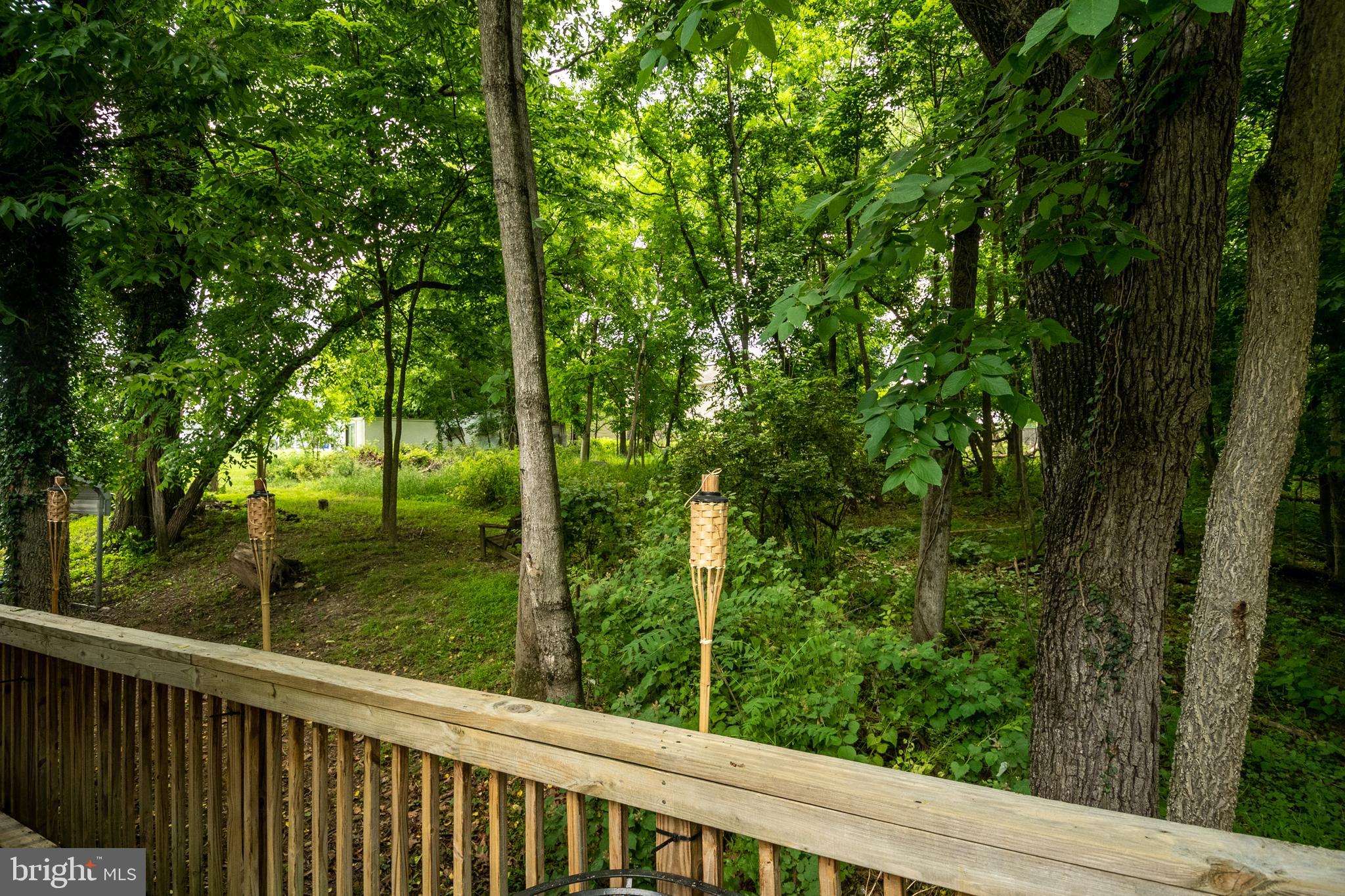115 Old Furnace Road Harpers Ferry, WV 25425 - Photo 12 of 41 Enjoy evenings with outdoor tiki torches