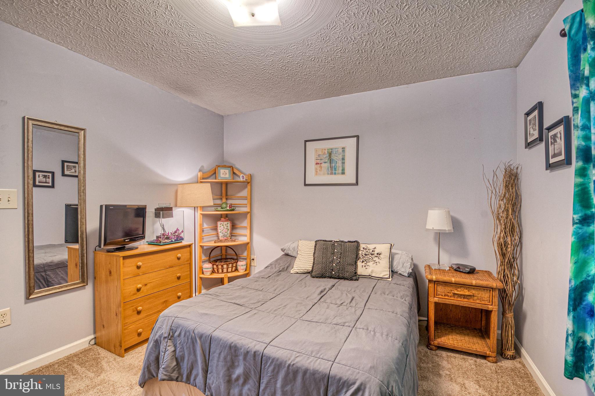 115 Old Furnace Road Harpers Ferry, WV 25425 - Photo 32 of 41 3rd Bedroom