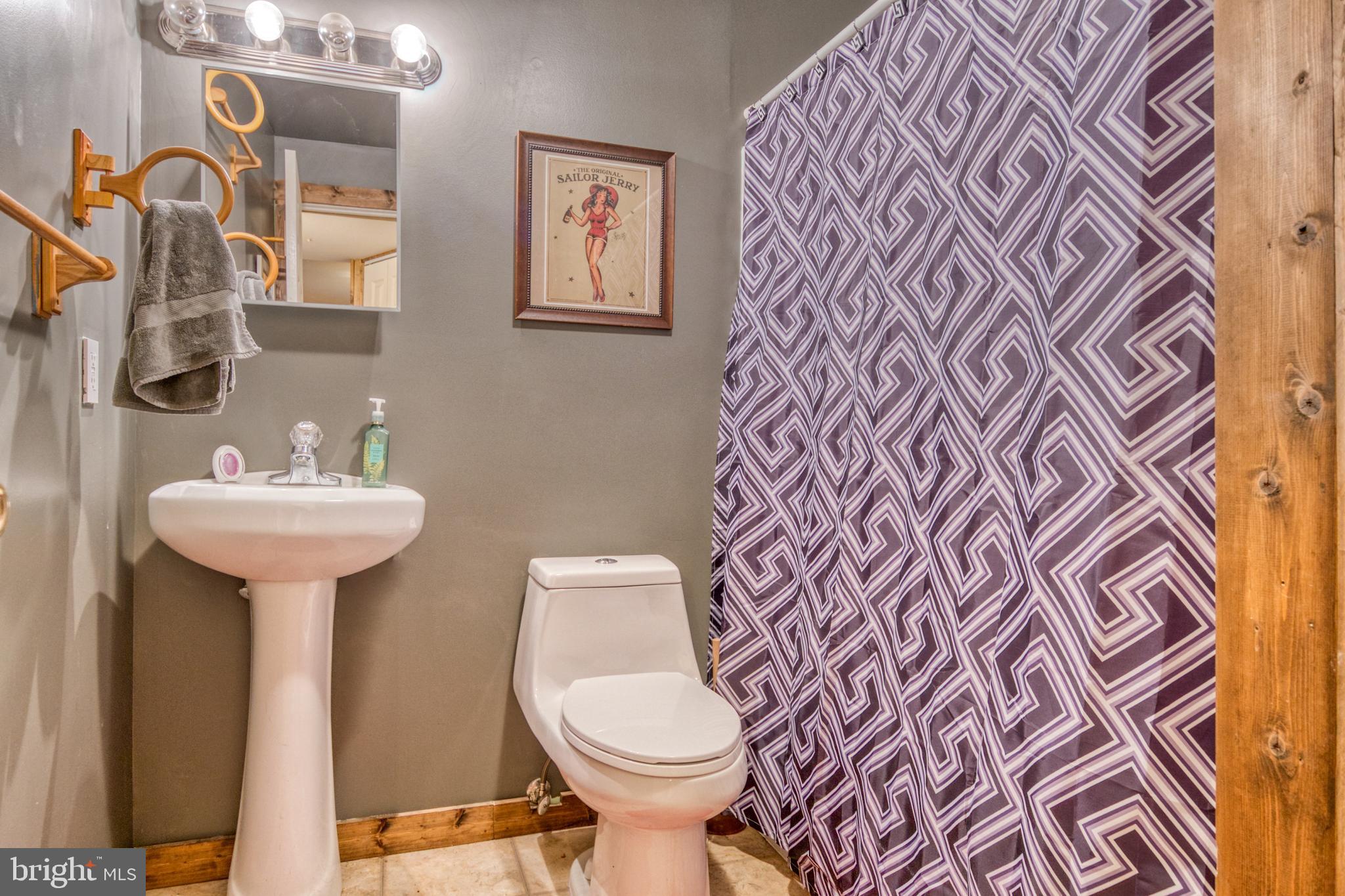 115 Old Furnace Road Harpers Ferry, WV 25425 - Photo 37 of 41 Lower level bath