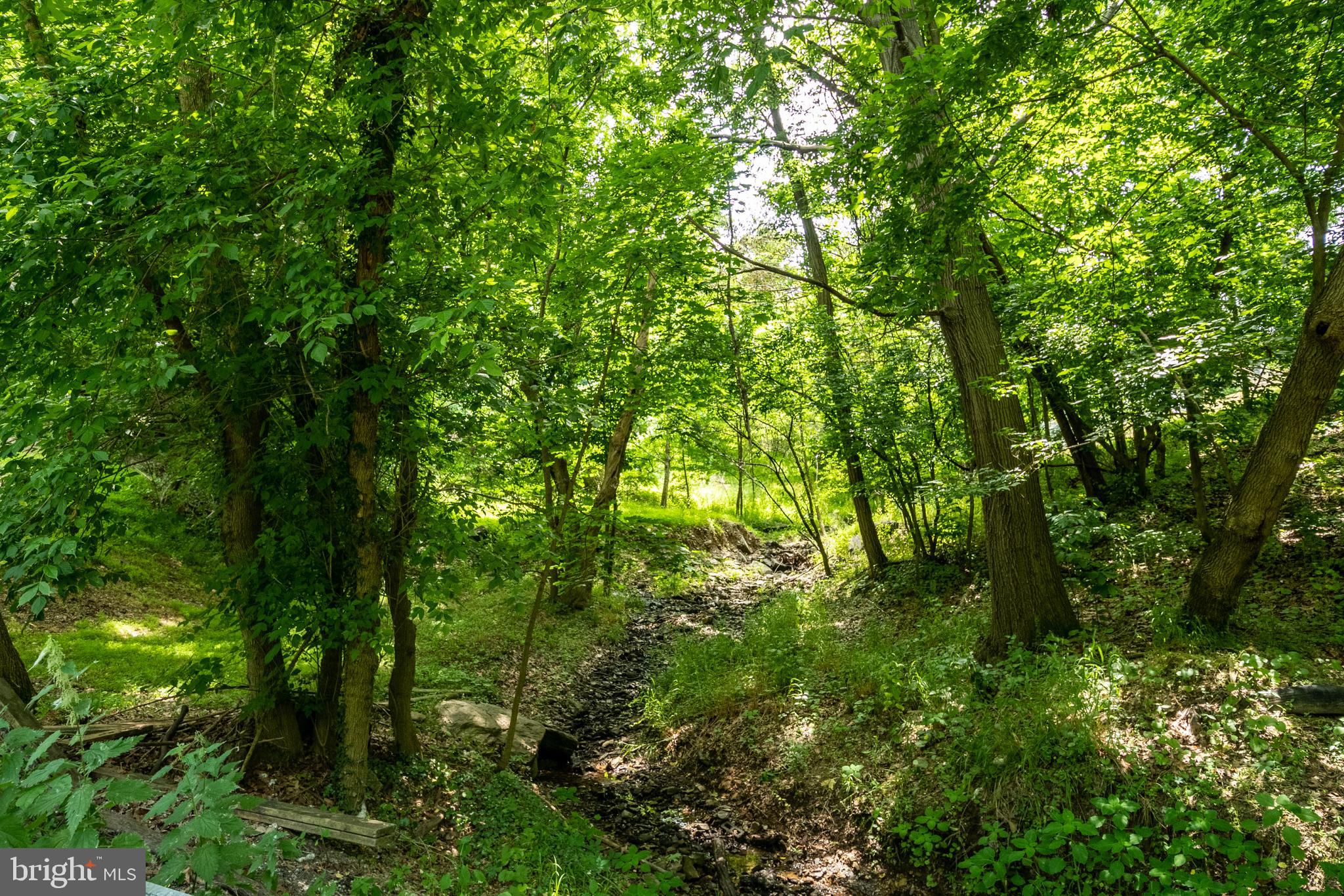 115 Old Furnace Road Harpers Ferry, WV 25425 - Photo 40 of 41 Creek runs along this area. Beautiful & Serene.