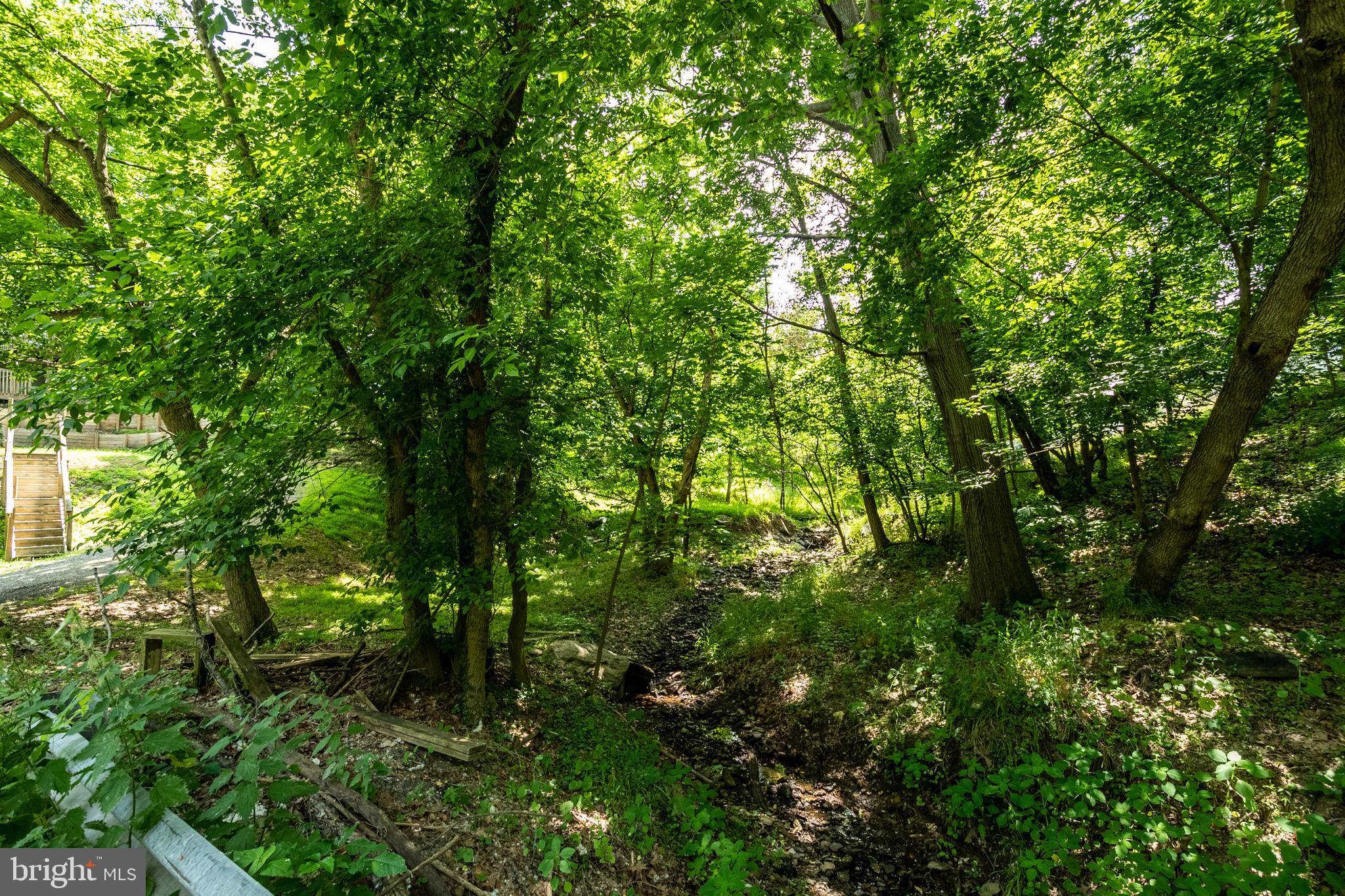 115 Old Furnace Road Harpers Ferry, WV 25425 - Photo 41 of 41 During rainfalls the sound,view, & is so relaxing