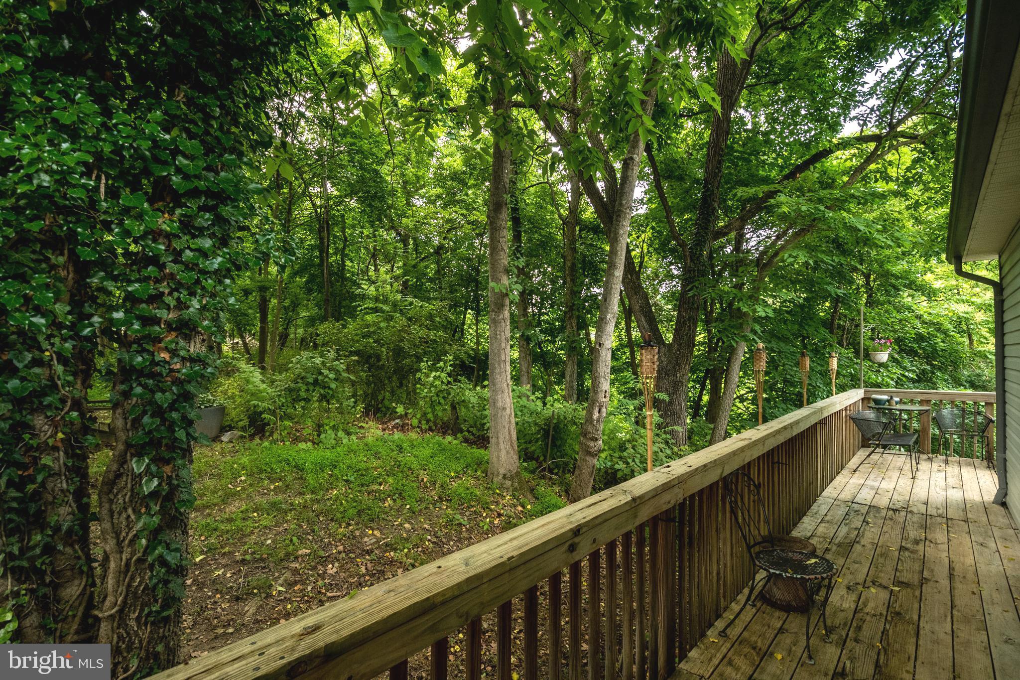 115 Old Furnace Road Harpers Ferry, WV 25425 - Photo 6 of 41 View of back yard from porch