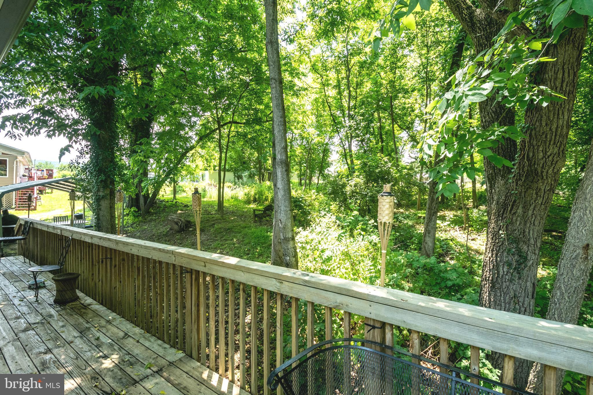 115 Old Furnace Road Harpers Ferry, WV 25425 - Photo 7 of 41 Serene views from kitchen