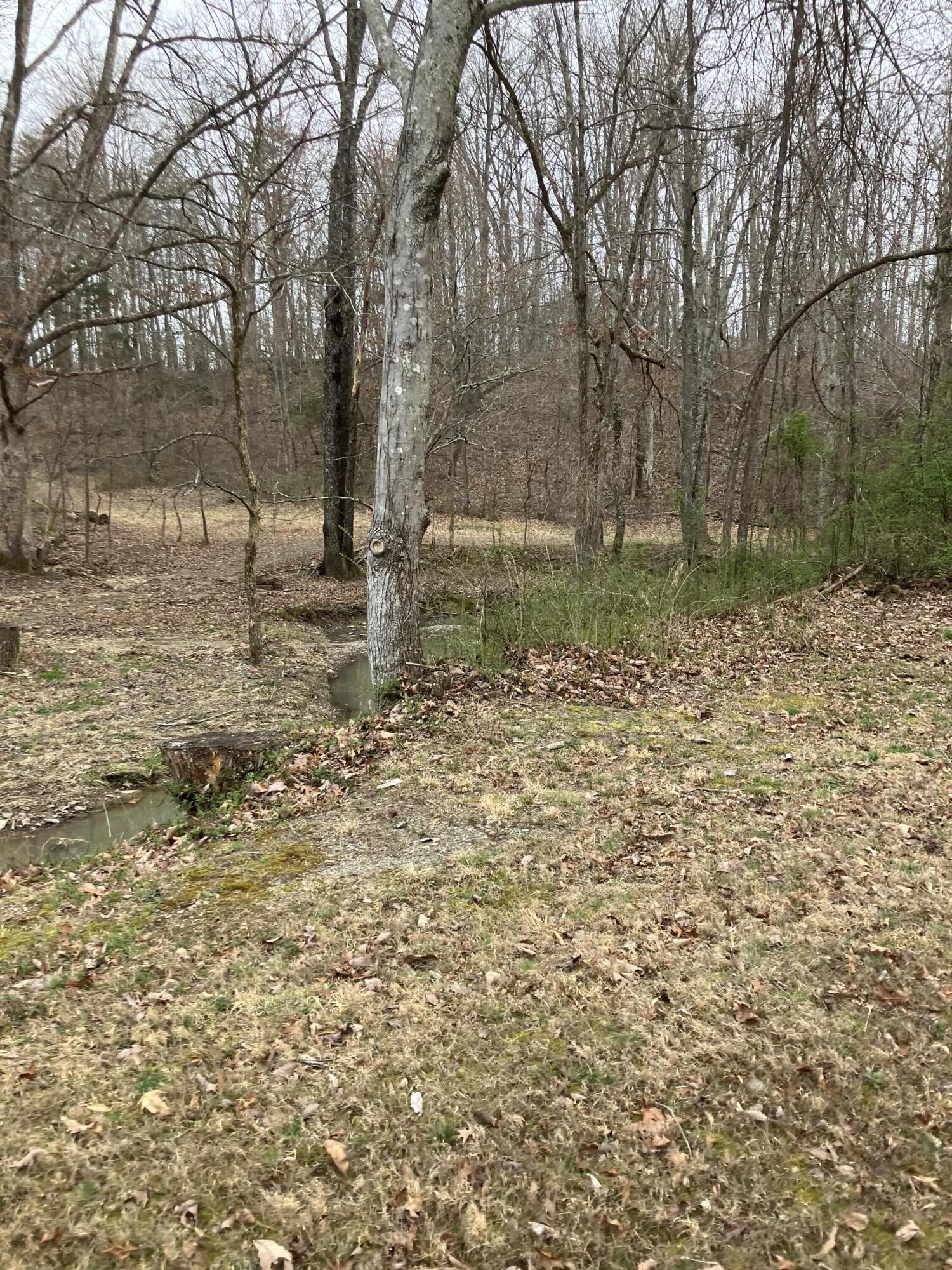 700 Butler Road Owingsville, KY 40360 - Photo 3 of 18 68F8F131-B7CB-4C38-90F7-78F634CF1DED