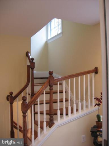 2803 Ridge Rd Drive Alexandria, VA 22302 - Photo 22 of 22 Staircase