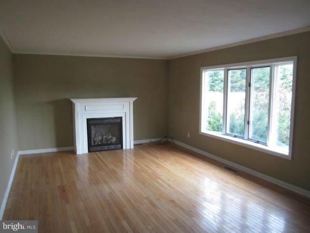 6809 Harmony Road Preston, MD 21655 - Photo 2 of 10 Living Room
