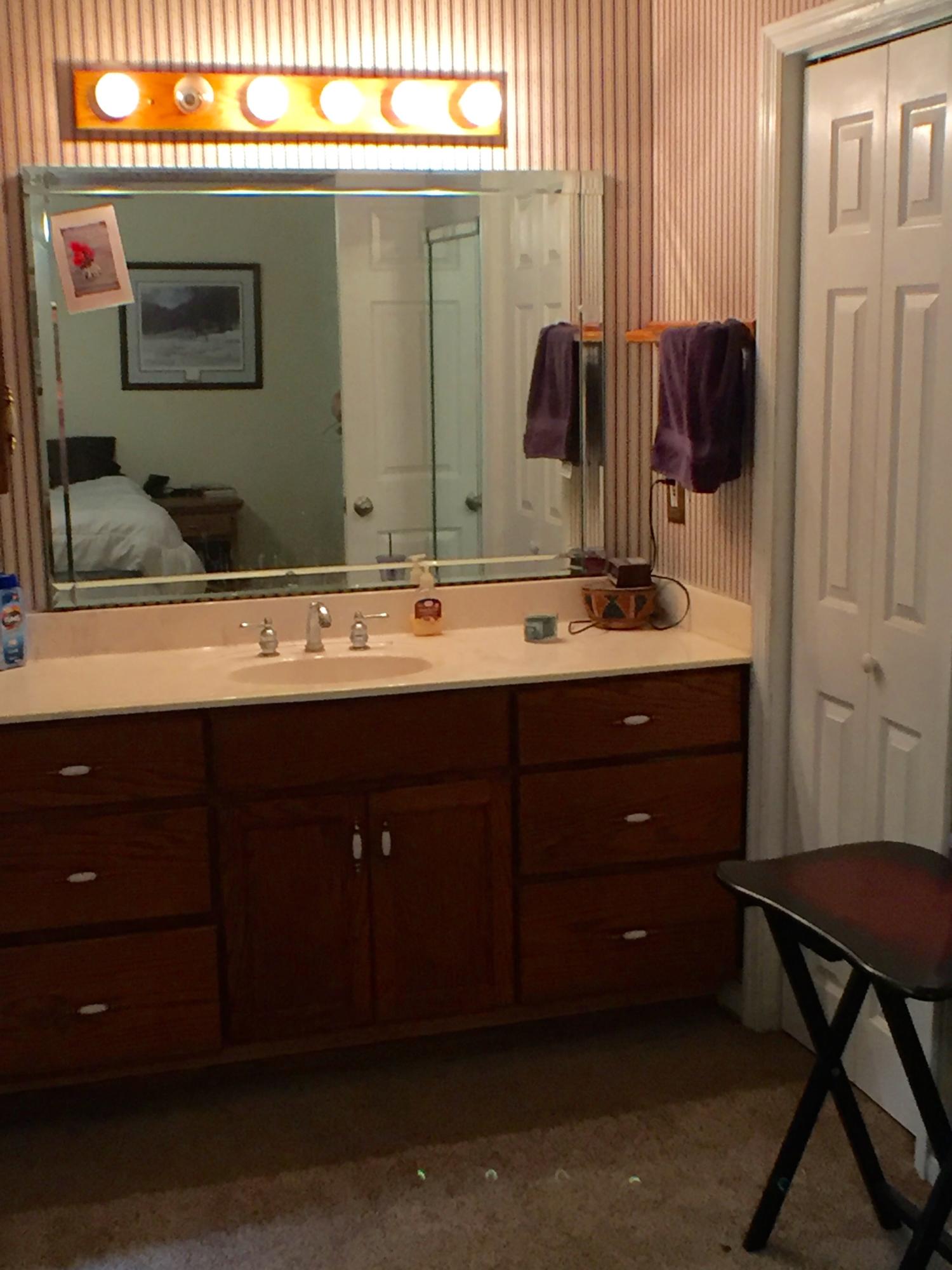 161 Tall Pines Road Ladson, SC 29456 - Photo 16 of 28 MASTER BATH SINK