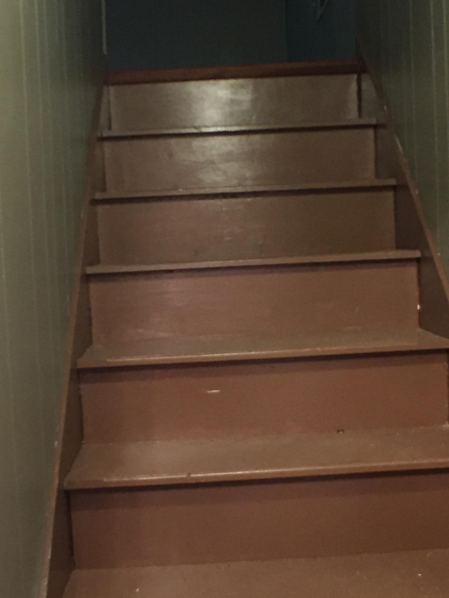 161 Tall Pines Road Ladson, SC 29456 - Photo 20 of 28 Stairs to FROG and Attic Storage