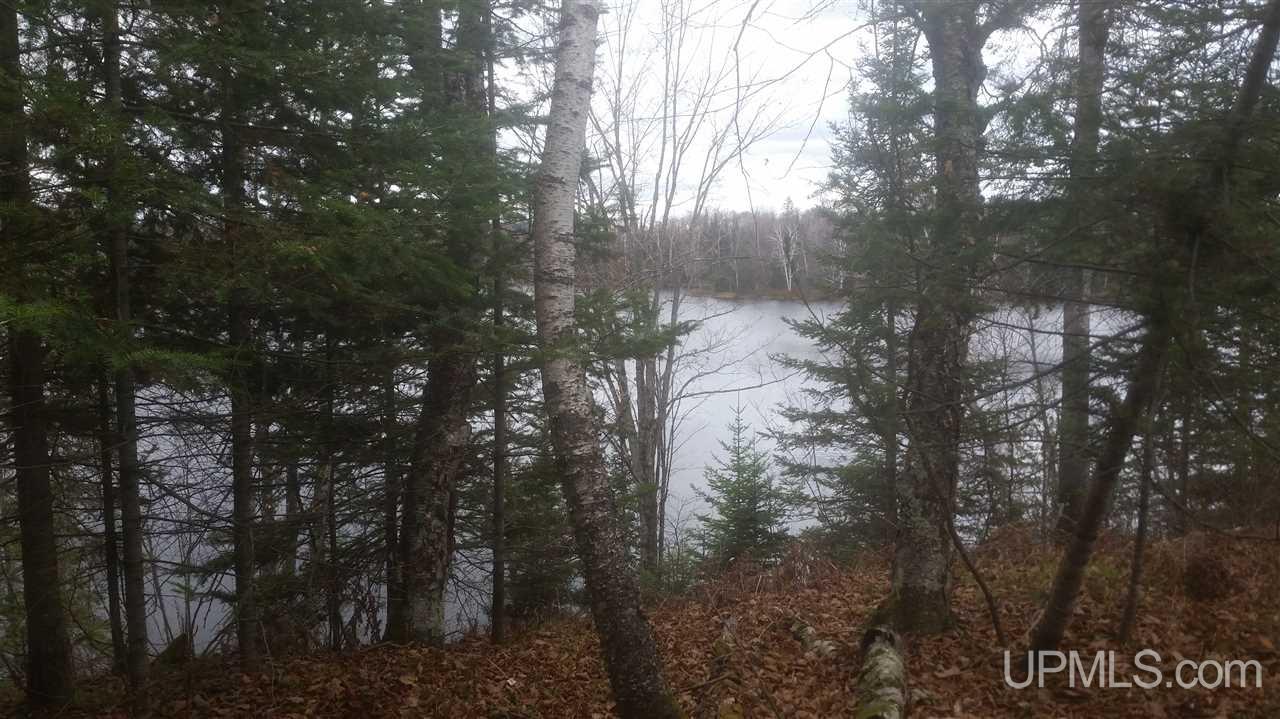 Tbd Maggie Point Road, Unit PCL 9E Crystal Falls, MI 49920 - Photo 1 of 7