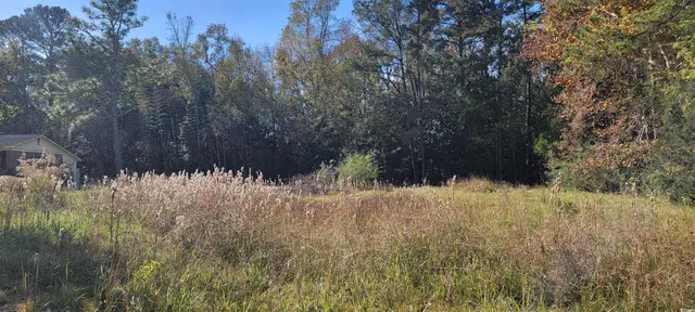 $79,000 | 121 Oak Log Lake Road, Conway, SC 29526