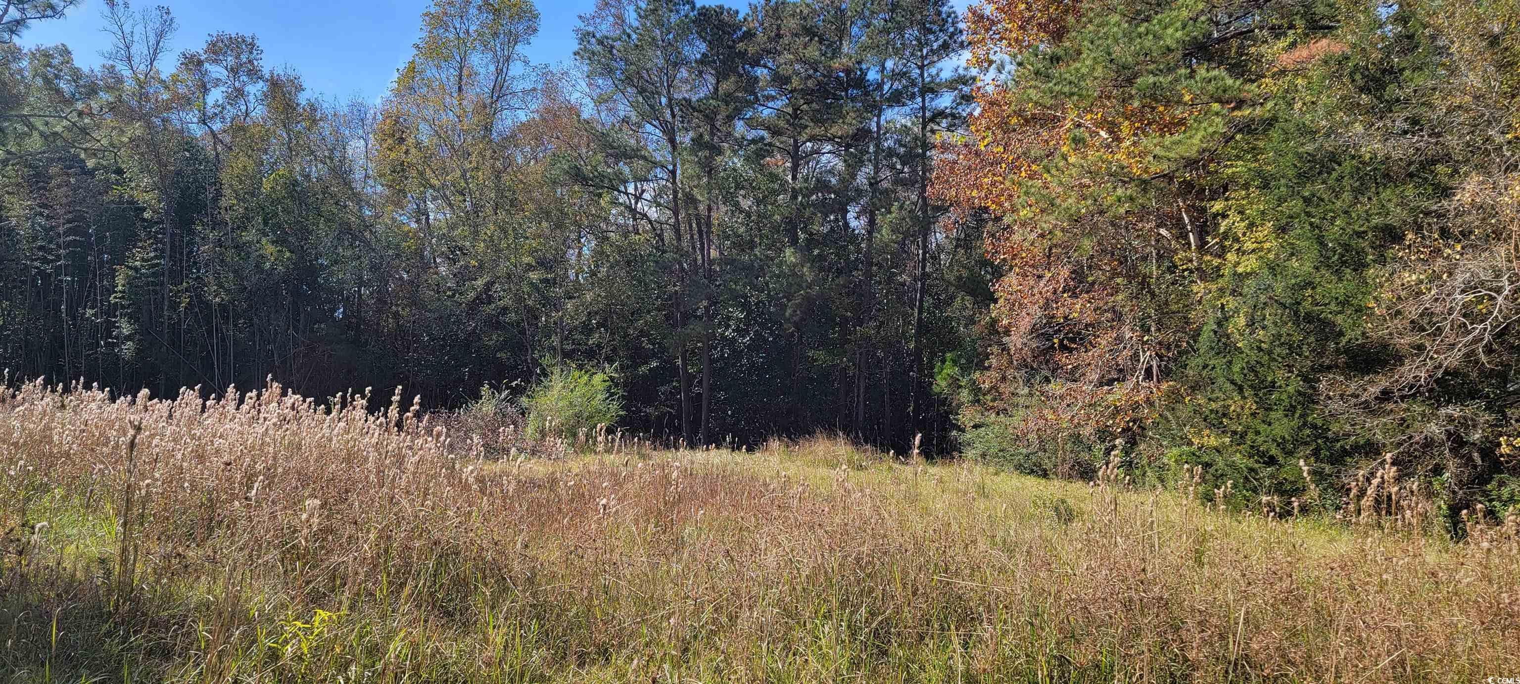 121 Oak Log Lake Road Conway, SC 29526 - Photo 2 of 3 View of wooded area