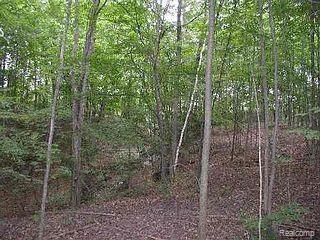 Tbd Burtch Road Jeddo, MI 48032 - Photo 1 of 1 Property Photo