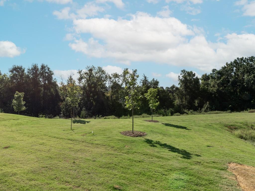 5292 Sweet Fig Way Fort Mill, SC 29715 - Photo 27 of 36 a grassy field with some trees in the background