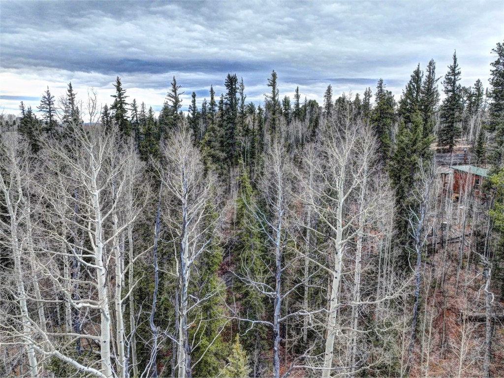 646 Antelope Way Como, CO 80432 - Photo 14 of 19