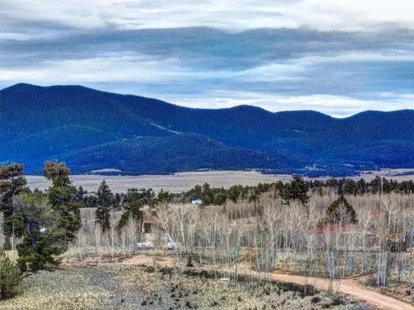 a view of a mountain with a forest