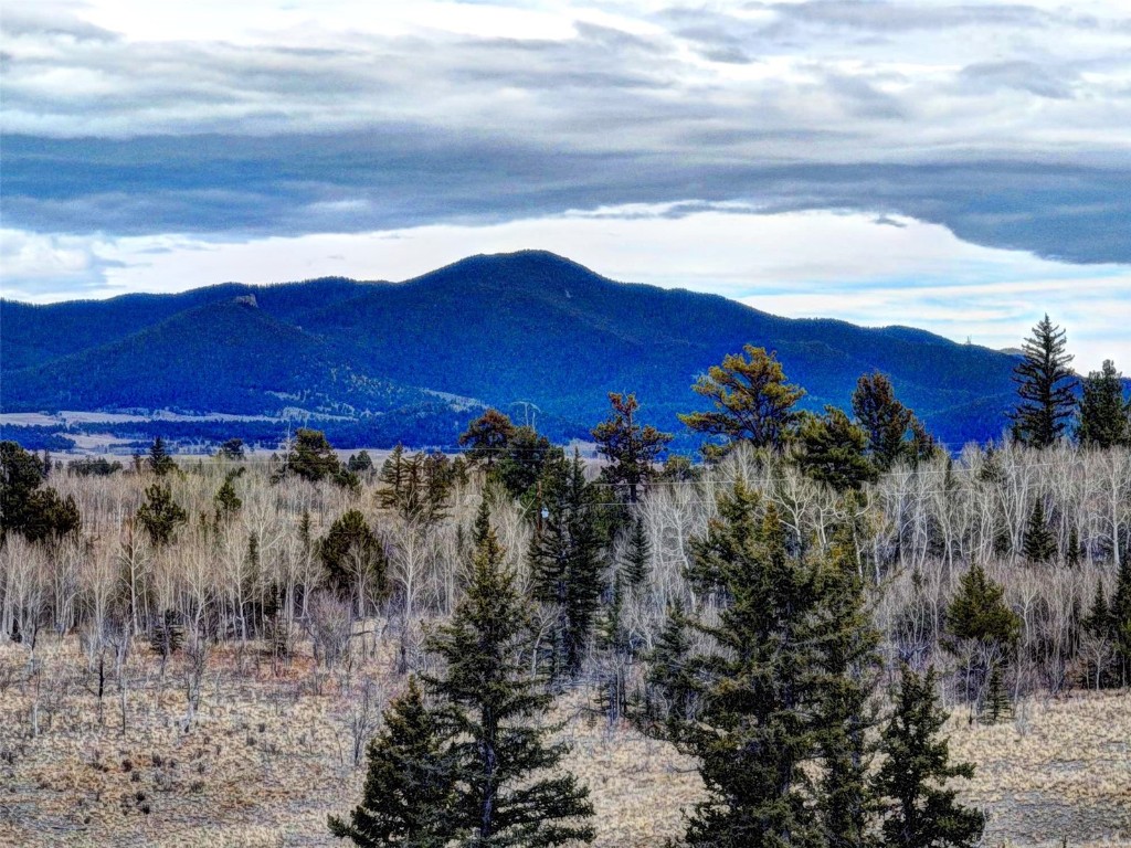 646 Antelope Way Como, CO 80432 - Photo 2 of 19