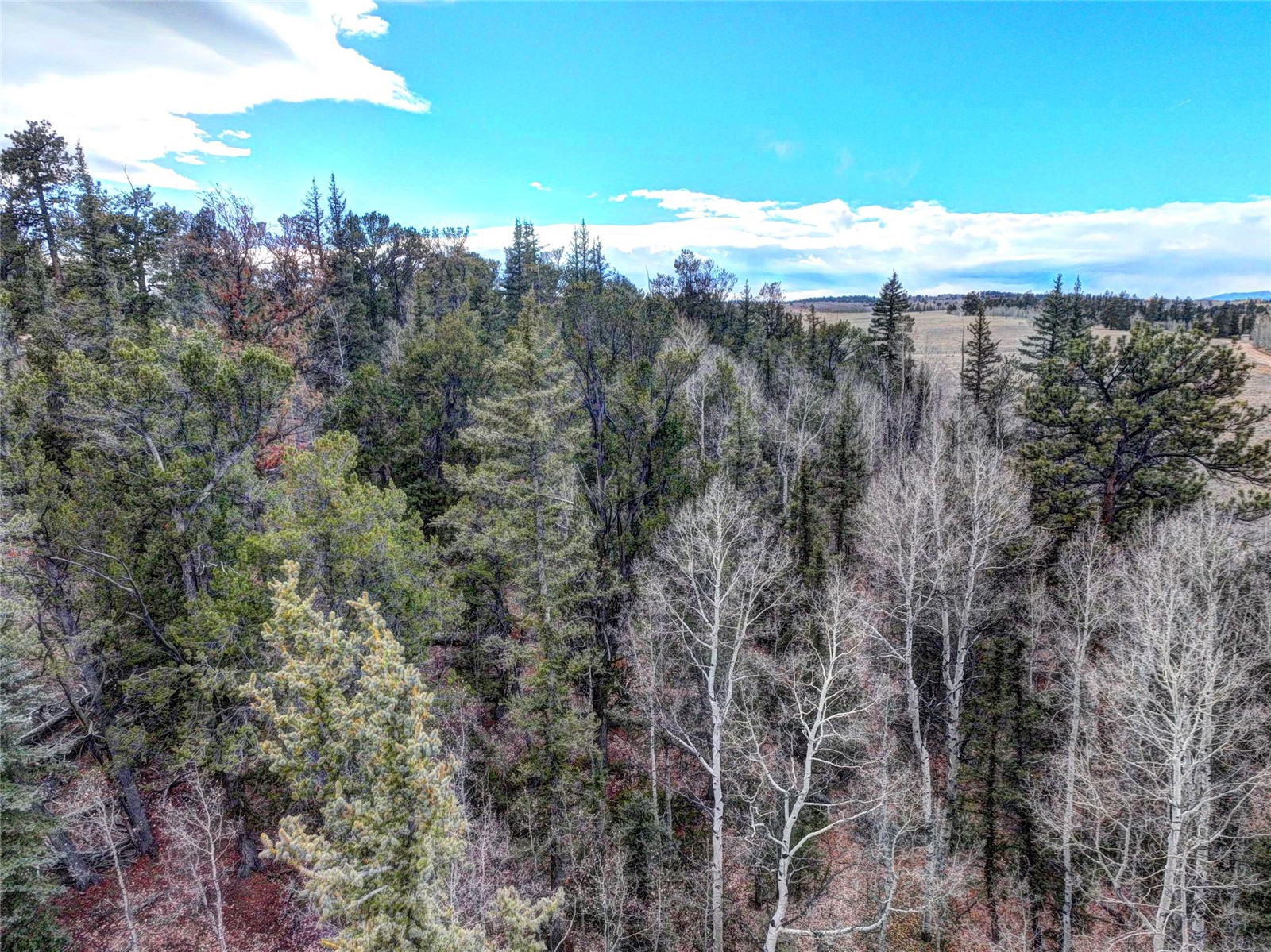 646 Antelope Way Como, CO 80432 - Photo 3 of 19 a view of a sky from a yard