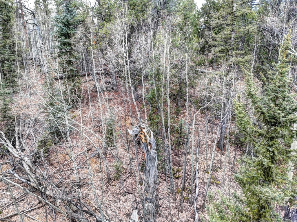 646 Antelope Way Como, CO 80432 - Photo 4 of 19