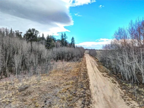 a view of a dry yard with wooden fence