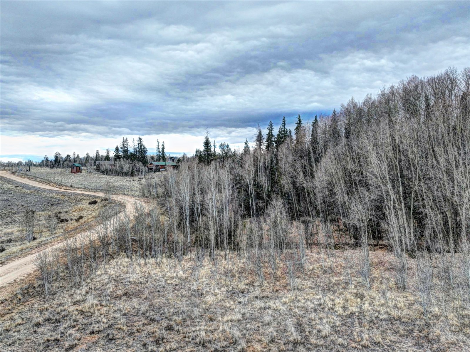 646 Antelope Way Como, CO 80432 - Photo 6 of 19 a view of a dry yard with trees