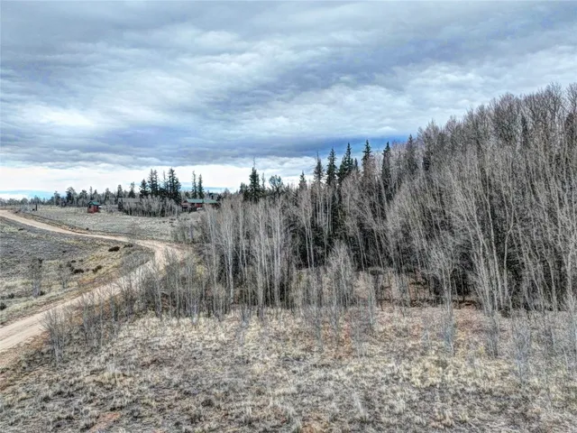 a view of a dry yard with trees