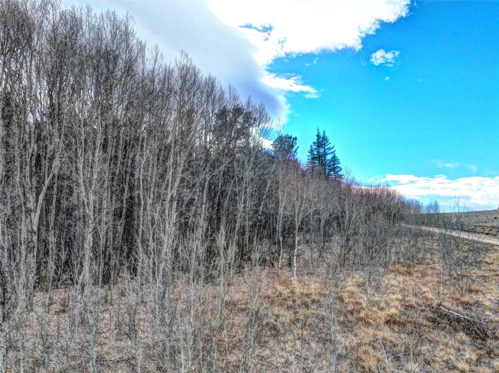 646 Antelope Way Como, CO 80432 - Photo 7 of 19