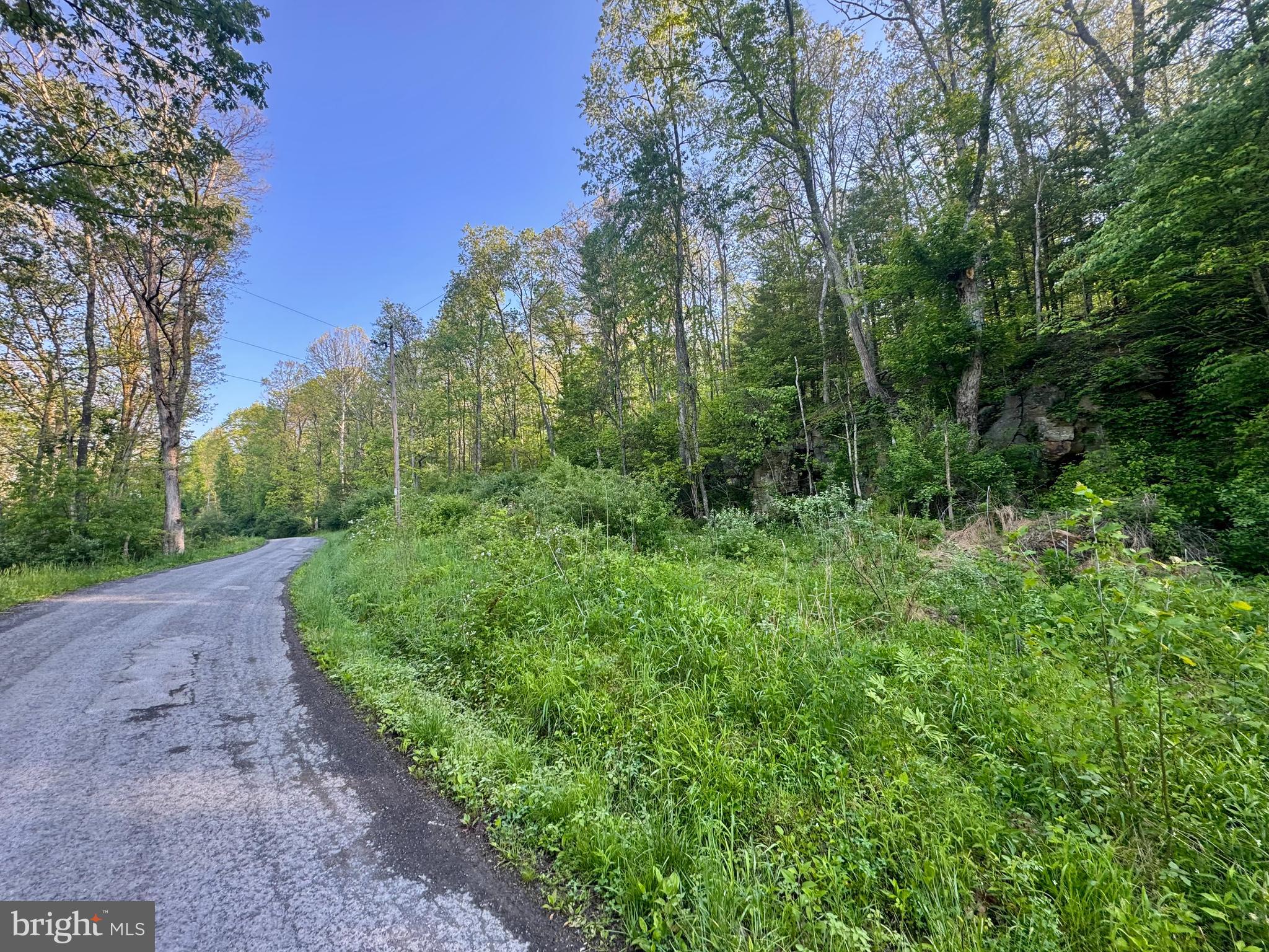 John Orr Road Independence, WV 26374 - Photo 10 of 37