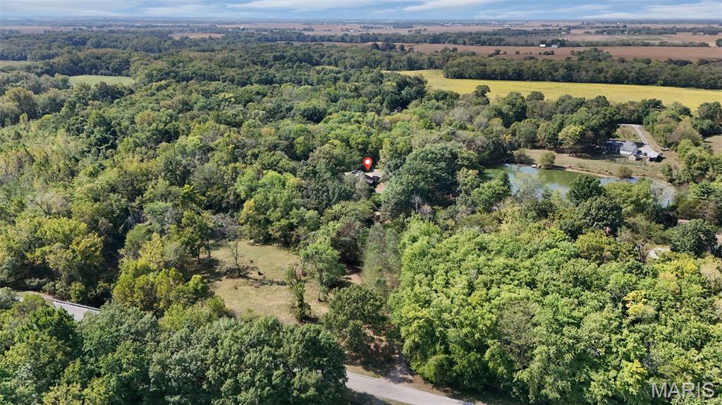 6703 Frandsen Road Alhambra, IL 62001 - Photo 6 of 48