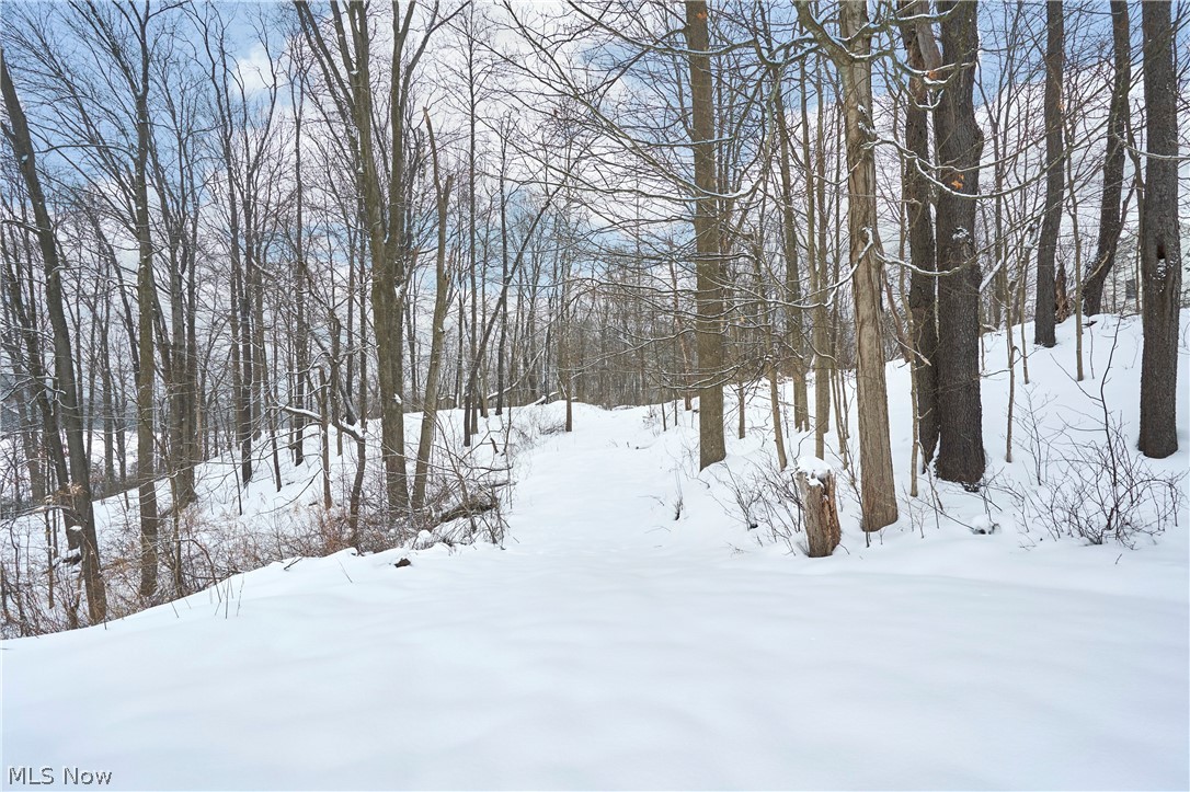 V/l Bainbridge Road Solon, OH 44139 - Photo 8 of 11
