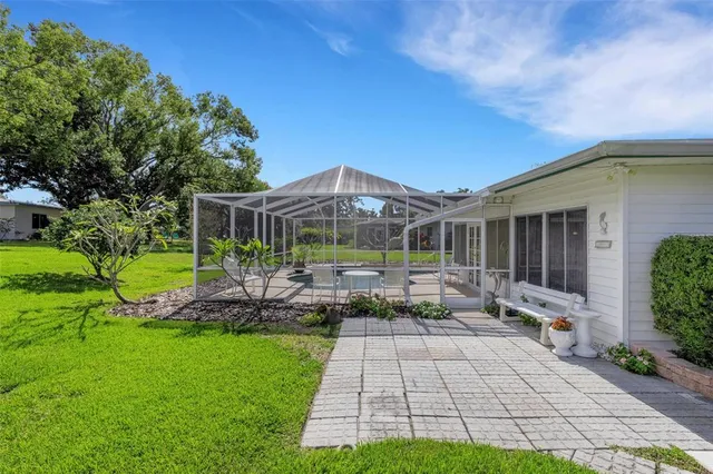 a park with large trees