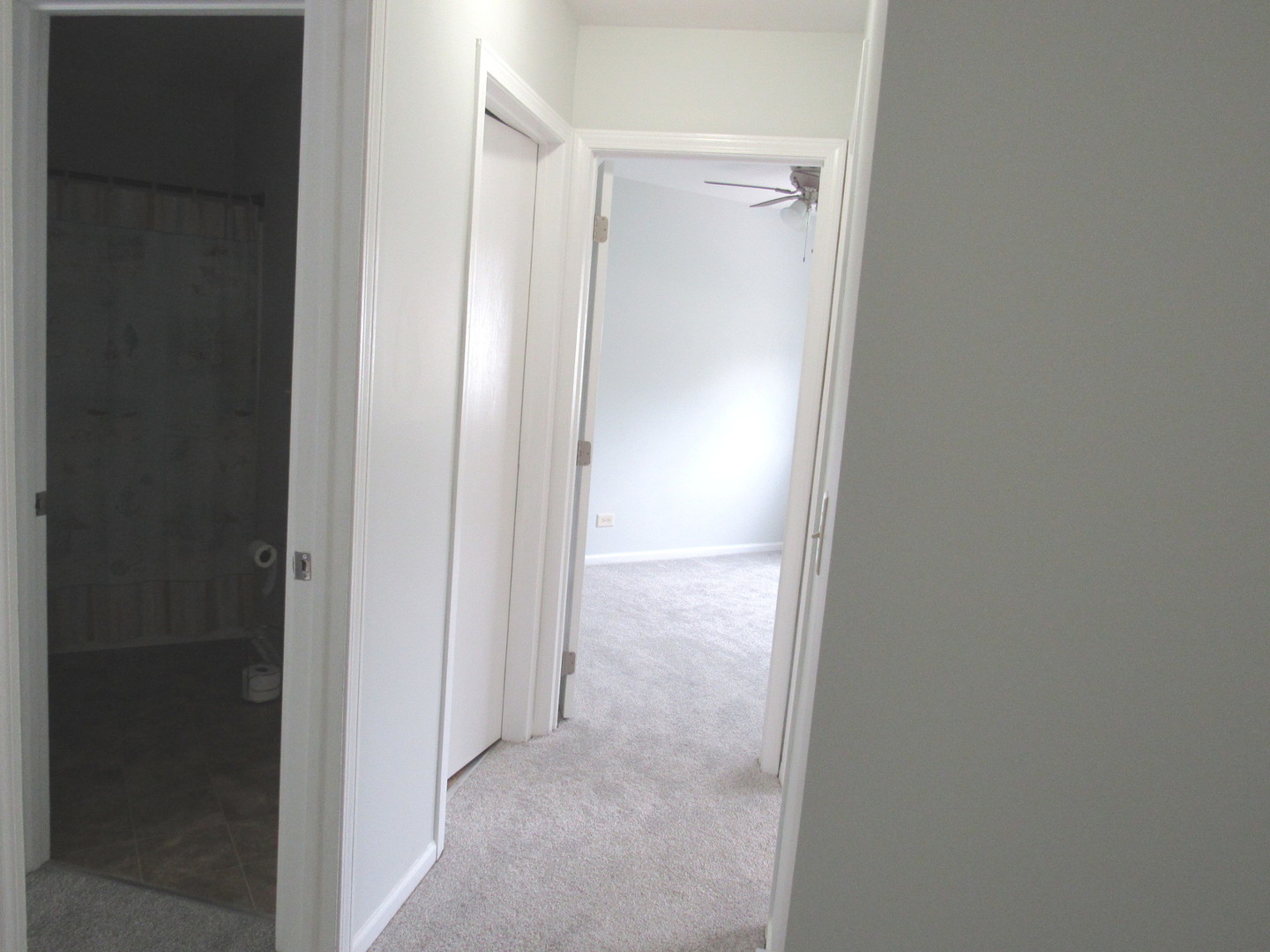 1418 Ridge Road South Elgin, IL 60177 - Photo 16 of 36