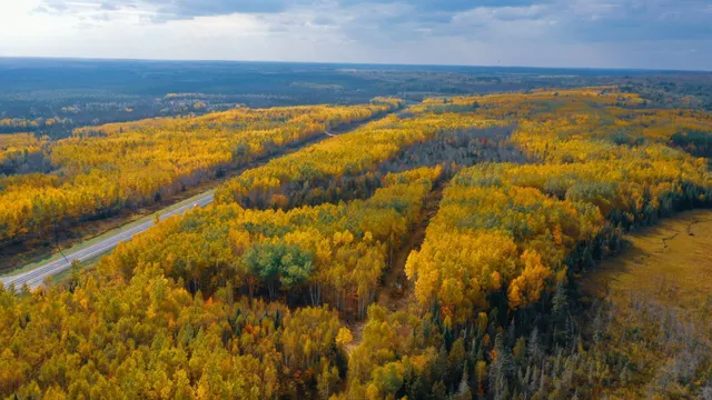 $28,900 | 115 Greenwood Twp Mn 55790, Tower, MN 55790