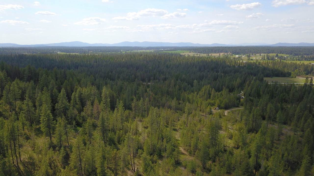 Nka North Milan Road Chattaroy, WA 99003 - Photo 11 of 17