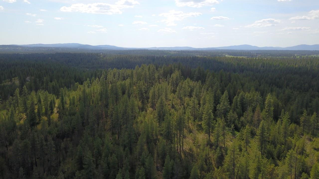 Nka North Milan Road Chattaroy, WA 99003 - Photo 12 of 17