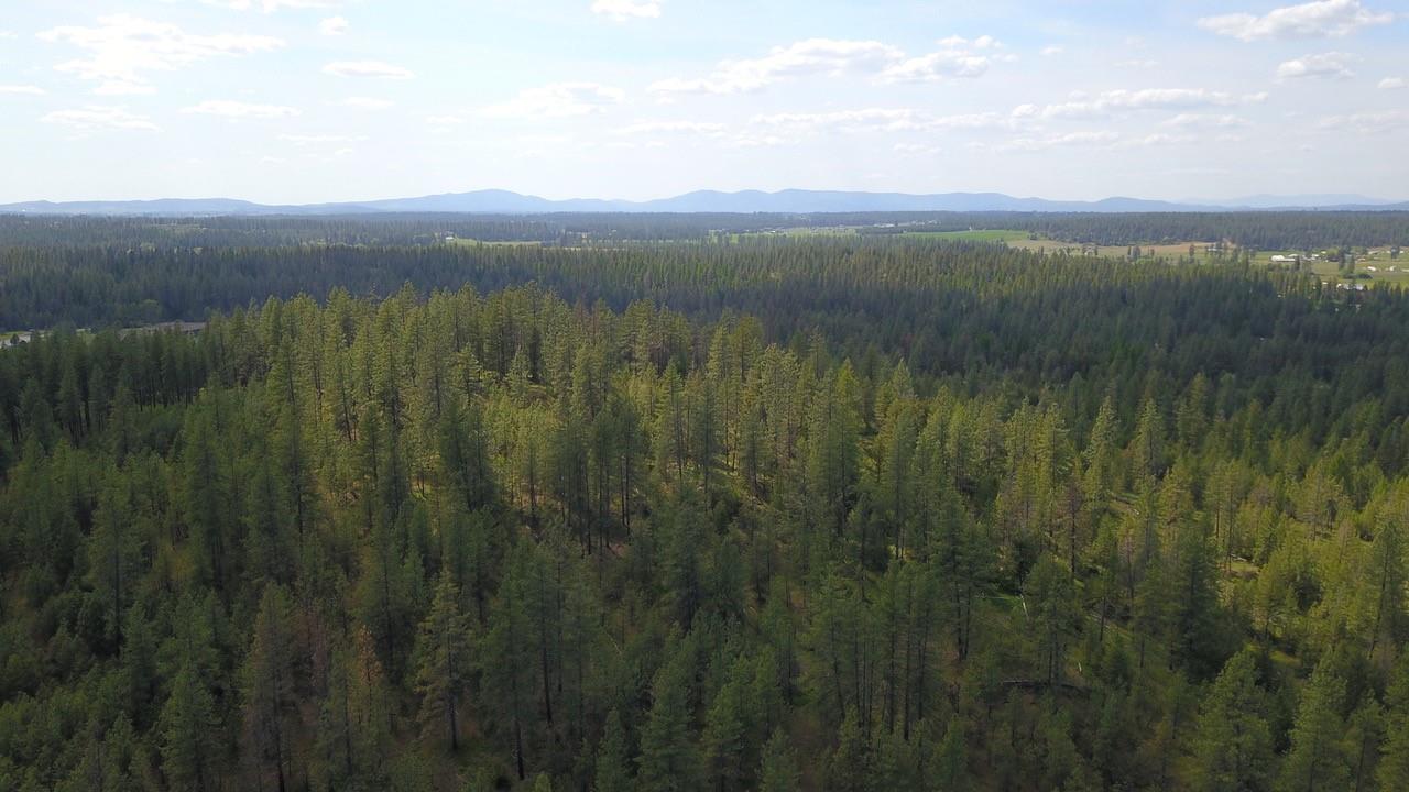Nka North Milan Road Chattaroy, WA 99003 - Photo 13 of 17