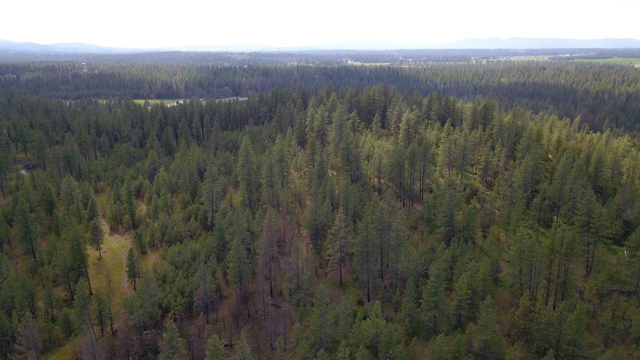 Nka North Milan Road Chattaroy, WA 99003 - Photo 14 of 17