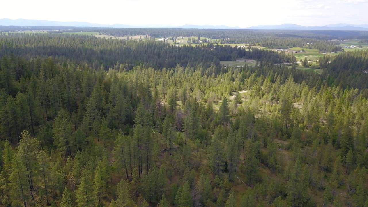 Nka North Milan Road Chattaroy, WA 99003 - Photo 15 of 17