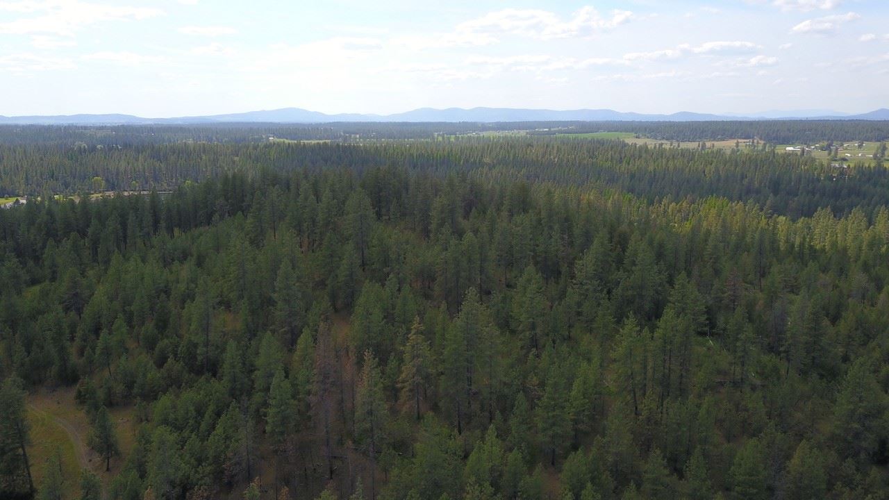 Nka North Milan Road Chattaroy, WA 99003 - Photo 16 of 17