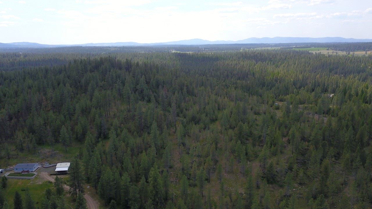Nka North Milan Road Chattaroy, WA 99003 - Photo 6 of 17