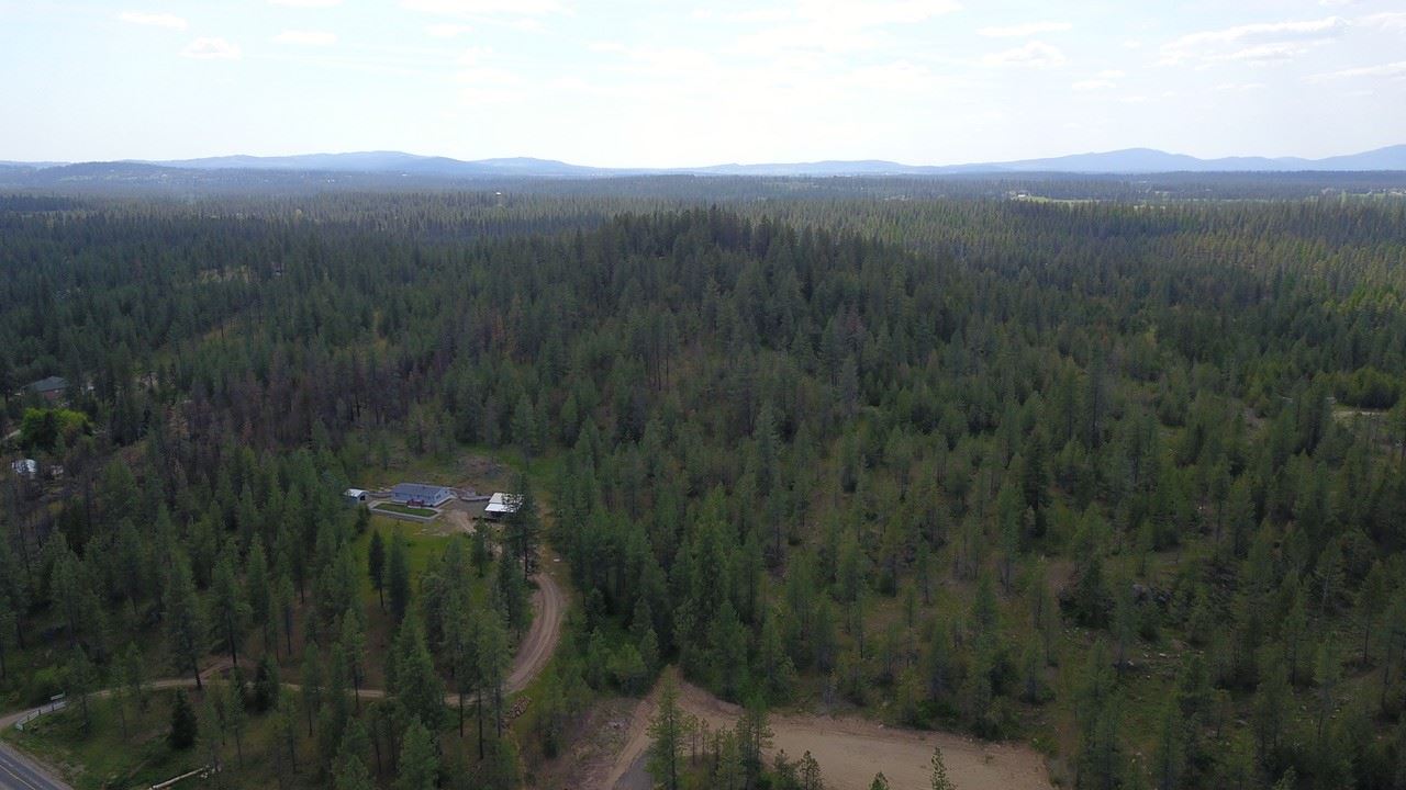 Nka North Milan Road Chattaroy, WA 99003 - Photo 7 of 17