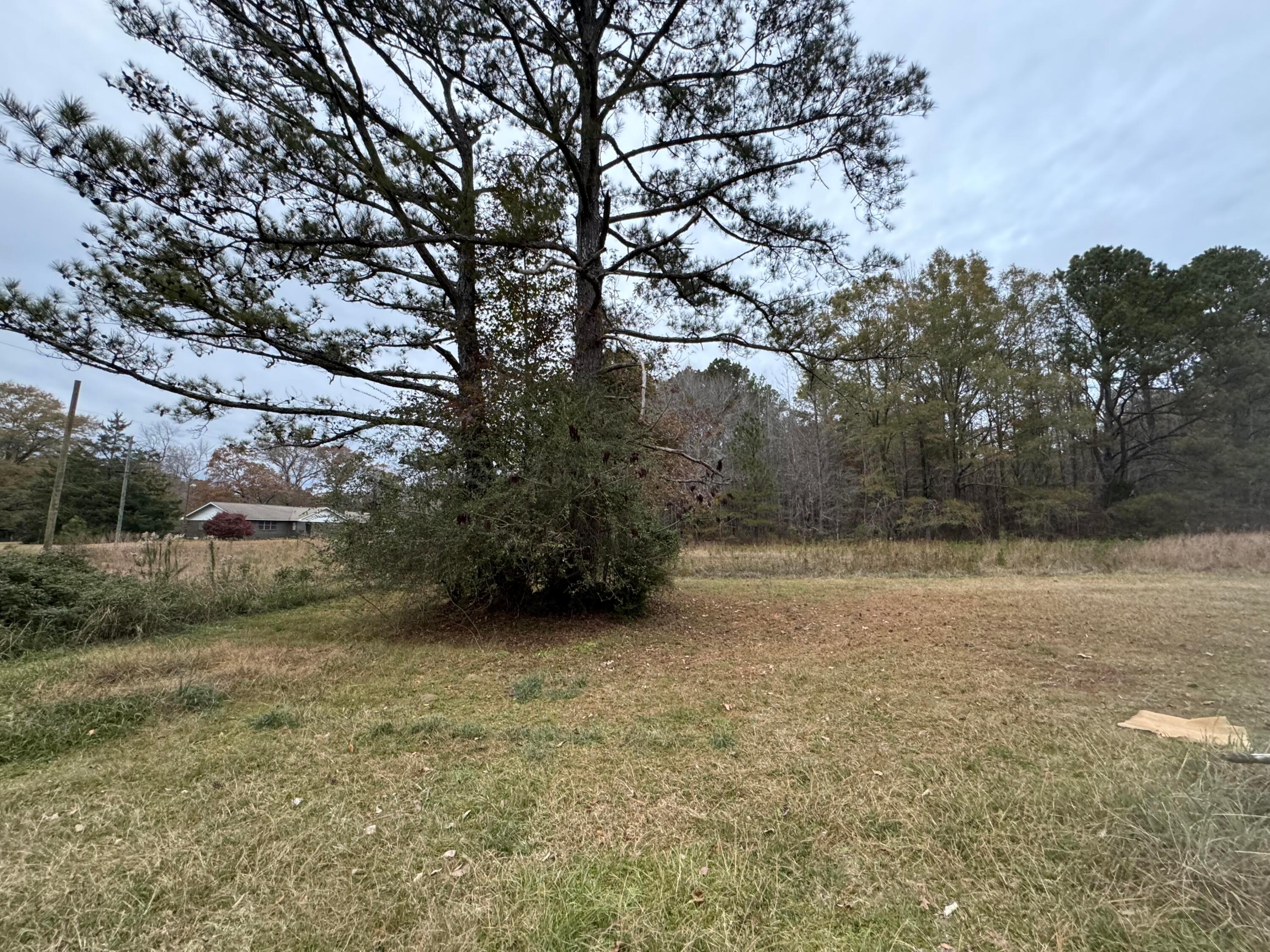 5300 Nauvoo Road Nauvoo, AL 35578 - Photo 8 of 14 Gallery Image 8