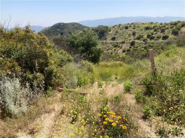 a view of a field with trees in the background