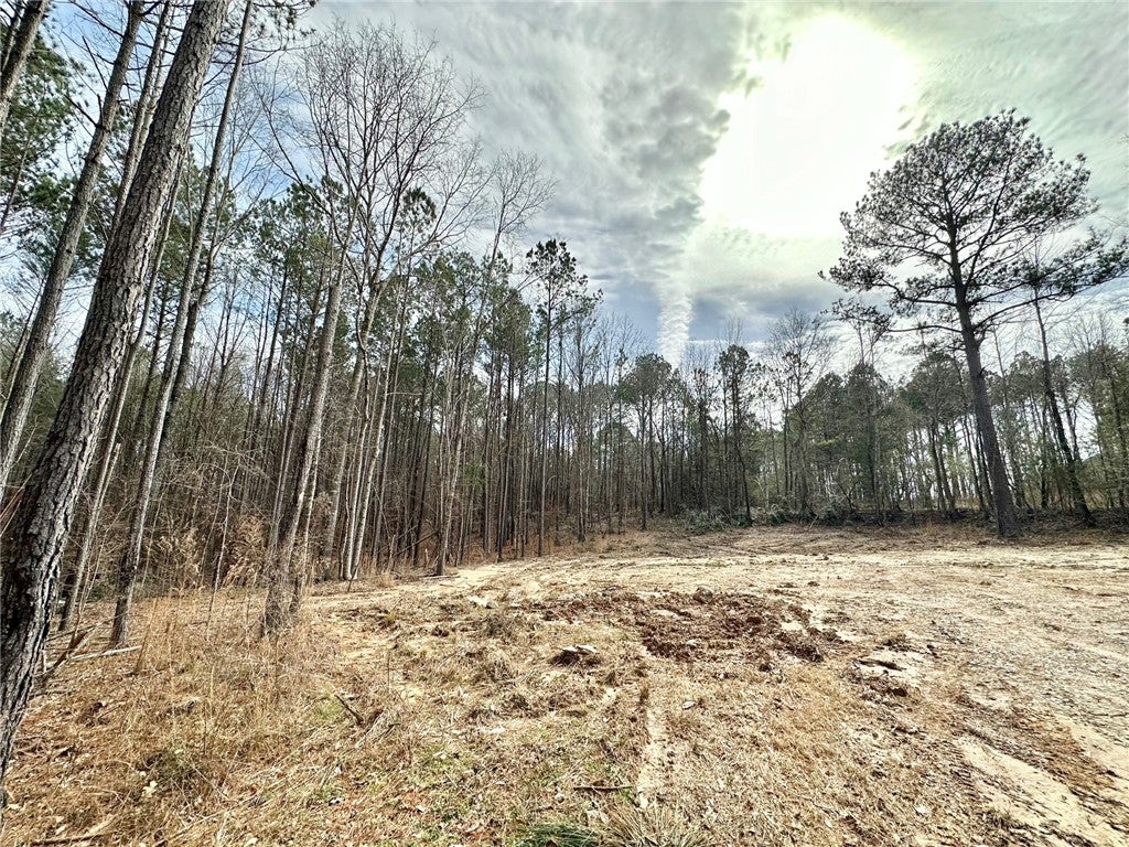 0 Pierce Chapel Road Opelika, AL 36804 - Photo 15 of 17 Gallery Image 15